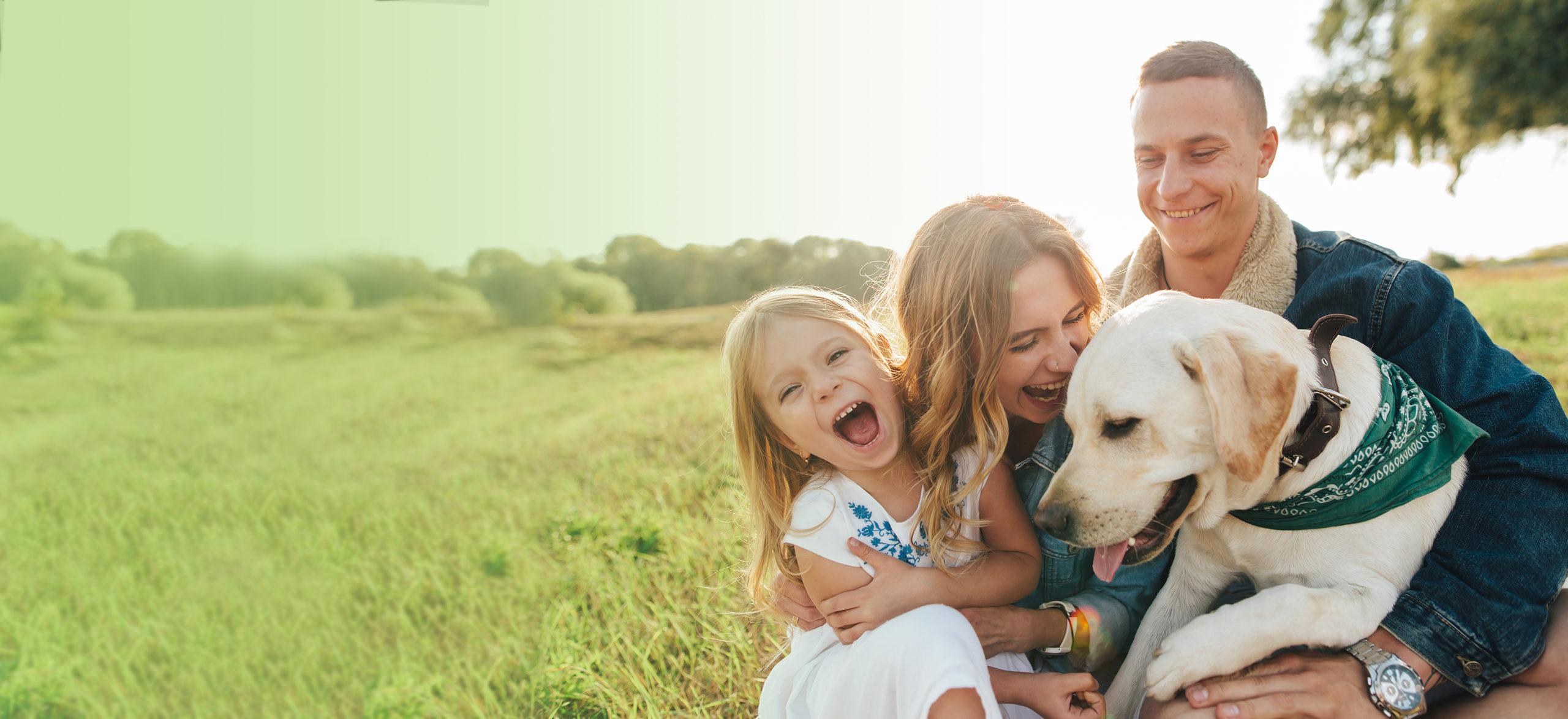 Mom,,Dad,,And,Daughter,Having,Fun,Playing,With,Big,Dog washington pest control slider 1