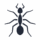 Ant Managment